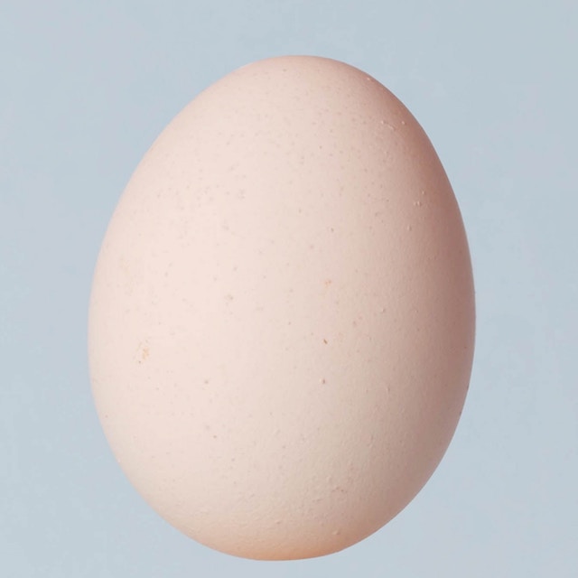 egg.jpg